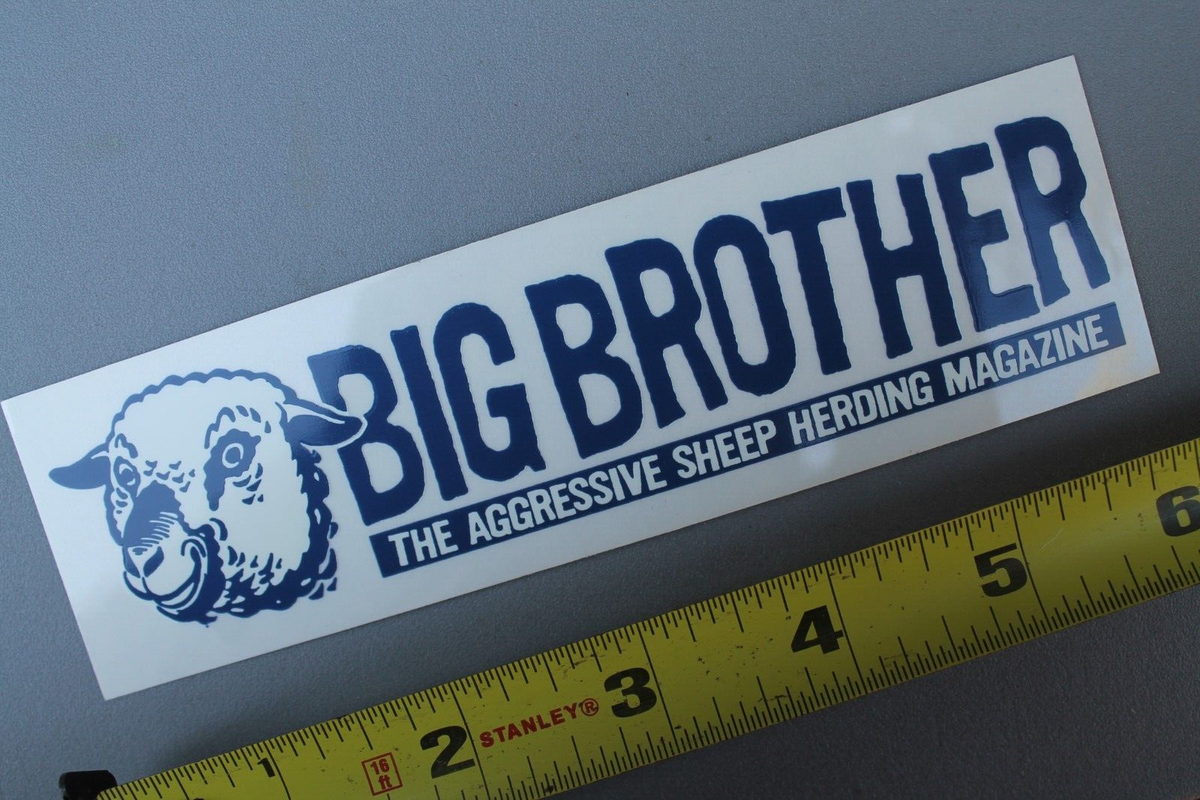 big brother #4激レア！ BIG BROTHER Magazine Sheep Sexy CKY Clear 90's GB4 Vintage