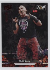 2023 Upper Deck AEW All Elite Wrestling Dynamite /249 Matt Hardy #28 16vq
