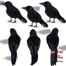 Halloween Black Feathered Crows - Realistic Halloween Birds - 6 Pack