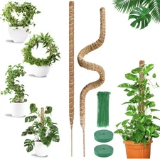 47" Moss Pole for Indoor Climbing Plants Plant Support - A0232