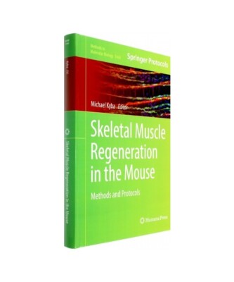 Skeletal Muscle Regeneration in the Mouse: Methods and Protocols