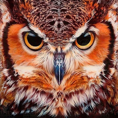 Diamond Painting Bild 60x60cm eckig/rund 35 Farben Vollbild Eulenkopf BLUEMEX