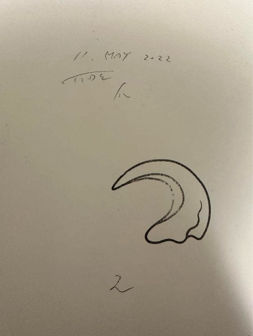 TIDE IDETATSUHIRO Original Watercolor Claw (crew) 2023 HENKYO Gallery Japan