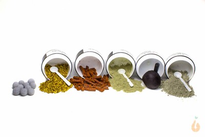   6in1 Aqua Birne - Futter + Mineralien Proben-Set | Aquarium Garnelen Fische  