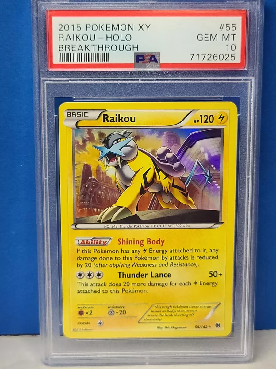 Pokemon Shiny Raikou 10