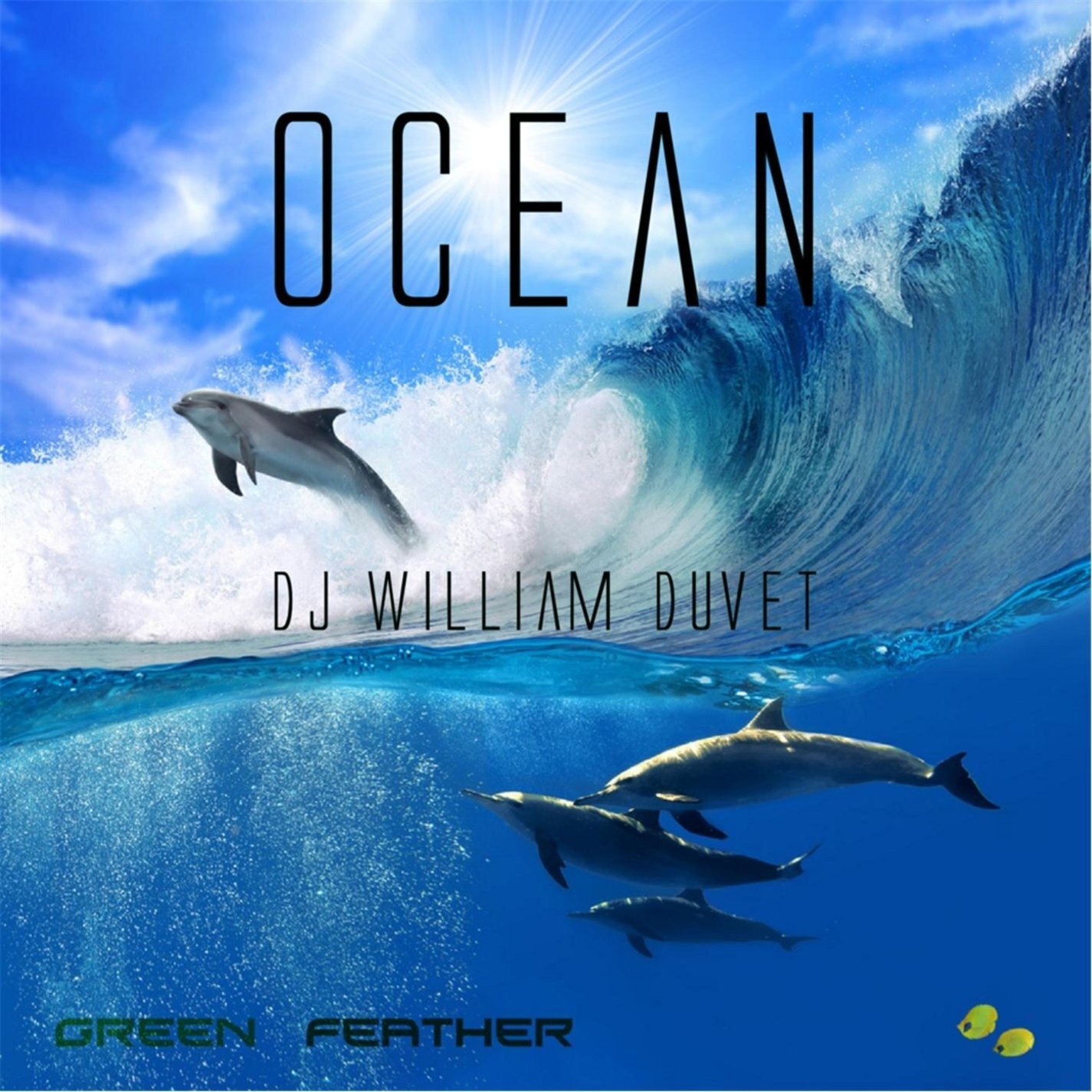 DJ William Duvet Ocean (CD)