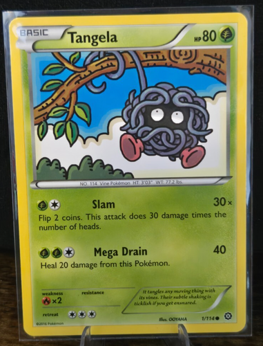 Pokemon - Tangela (1/114) - XY Steam Siege - Carta Reverse Holo – Rarità Comune, Tipo Erba, Base, 80 HP