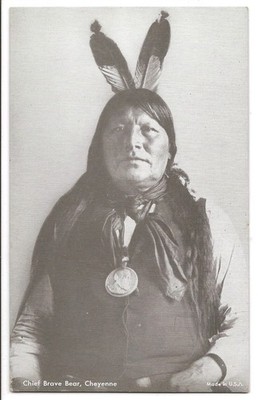 Chief Brave Bear, Cheyenne Exhibit Arcade Card