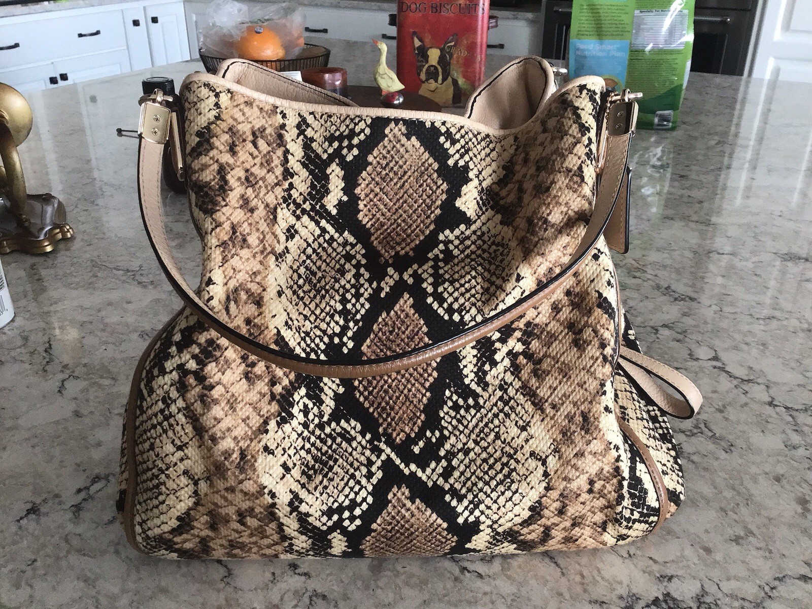 Coach Madison Phoebe Shoulder Bag – Python Snakes… - image 6