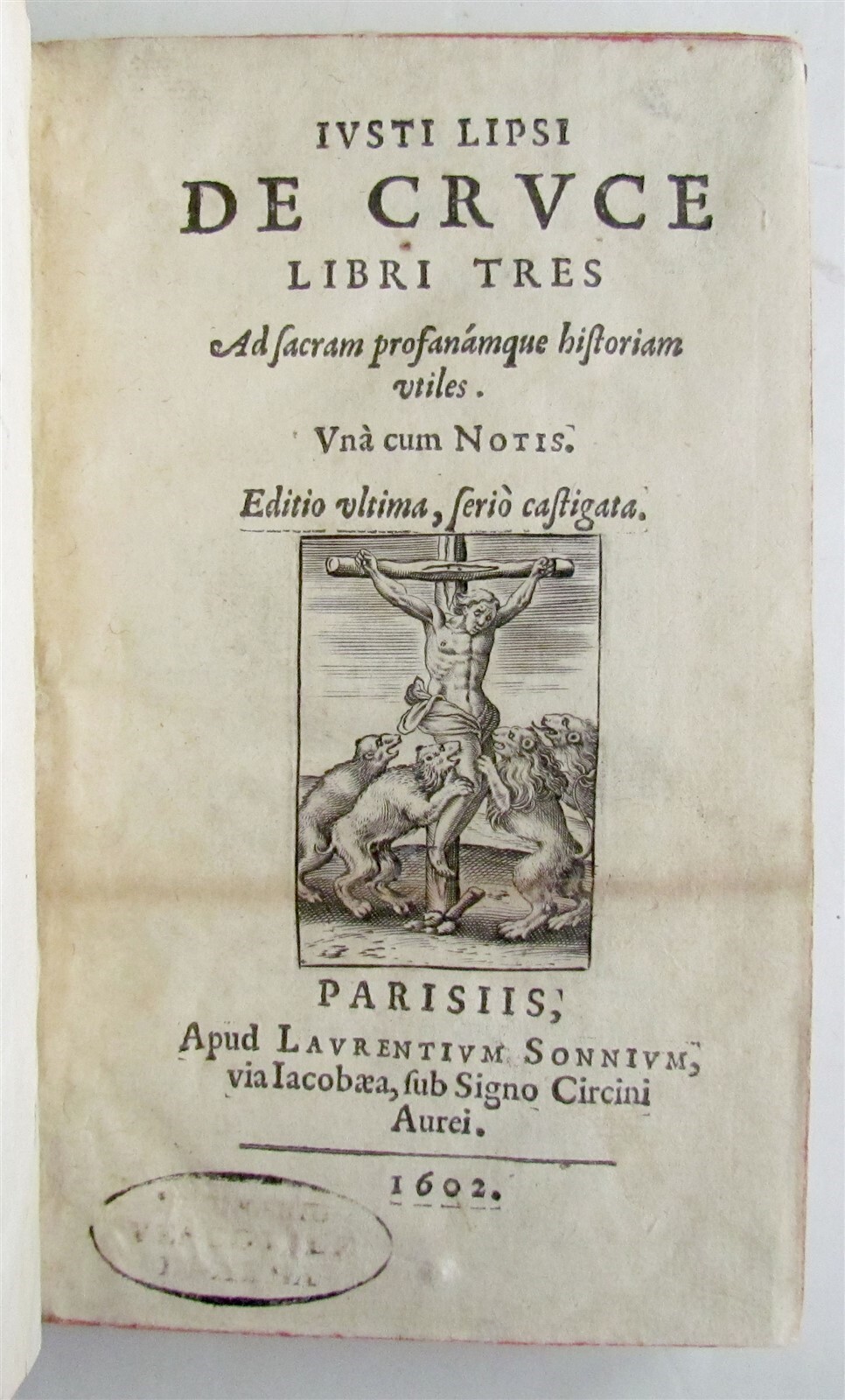 Afbeelding 1 van 12