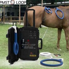 PEMF Body Wave Equine Magnetic Therapy PMST Loop Help Horses Alleviate Soreness