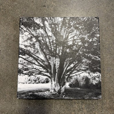Peter Marino THE GARDEN OF PETER MARINO 2017 RIZZOLI NO BOOK JACKET ACCEPTABLE
