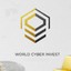 World Cyber Store