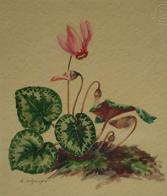 Maria HOLZINGER (Graz 1909-1993) Blumen