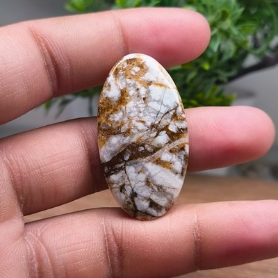 Handmade Wild Horse Jasper Loose Gemstone Oval Cabochon Pendant Making Jewelry