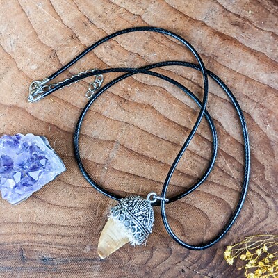 Dinosaur tooth Reptile mosasaur Fossil Dino tooth necklace jewelry - Main Image