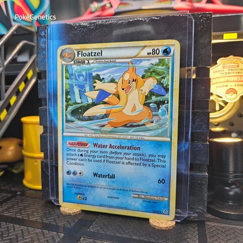 Floatzel Unleashed Rare Pokémon TCG 16/95 HeartGold & SoulSilver - Picture 2 of 6