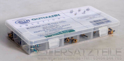 HELLA GUTMANN VENTILKERN-SET VENTILEINSÄTZE R134a R1234yf 8UW 185 103-371Klima