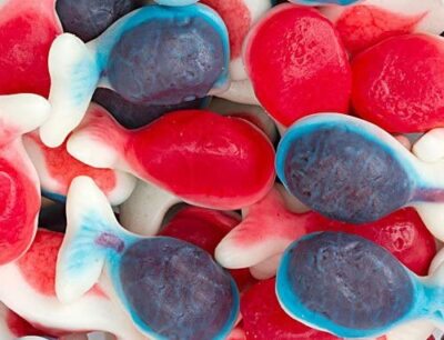 Bayside Candy Gummy Collection - Gummi Collection Gummy Whales