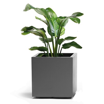 Blumenkasten 40 x 40 cm in Anthrazit mit Wasserspeicher und Rollen  Blumenkbel 8000072156362 | eBay.de