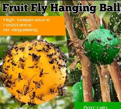 2pcs Sticky Fruit Fly Traps Fungus Gnat Ball Trap use for Indoor Outdoor