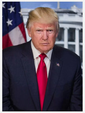 DONALD TRUMP - 2024 President of the United States Election Trading Card MAGA