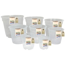 MePla - Vaso Trasparente Per Orchidee Ø 8 - 21 Cm - Set Da 5 A 100 Pezzi