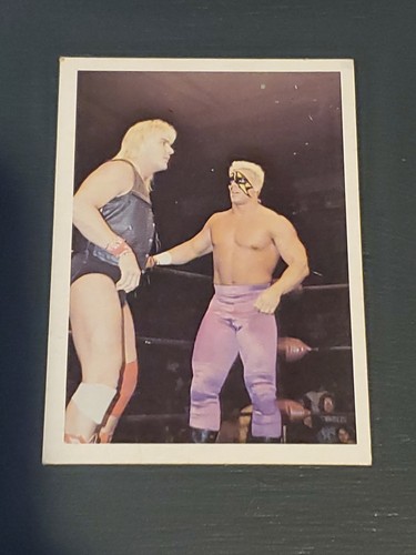 STING 1987 NWA WONDERAMA TEST MARKET BROWN BACK ROOKIE CARD Rare #9 Short Print - Picture 3 of 5