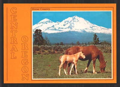 Central Oregon Horse Country Baby Two Sisters Mountains Vtg Continental Postcard