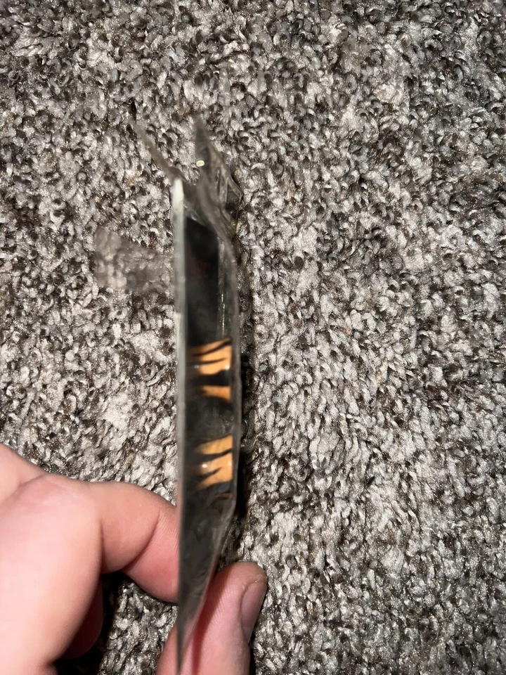 Medidores de acrílico Body Rage Tiger Print de 1/2 pulgada nuevos nunca usados Spencer’s media pulgada Foto 4 de 4