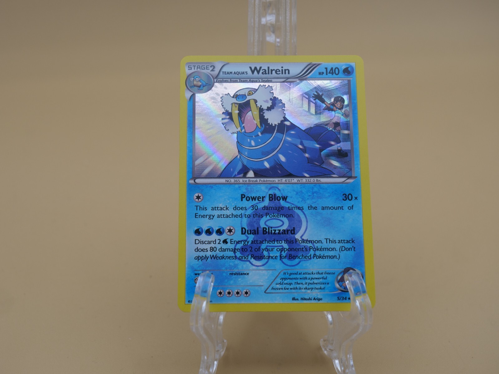 2015 Pokemon Walrein Holo Card 5/34 NM