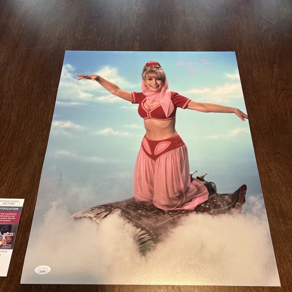 Barbara Eden Autographed Signed I Dream Of Jeannie 16x20 Photo JSA