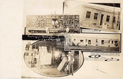 #ad Sioux Falls SD Newell amp; Co. Produce amp; Poultry on Railroad Car RPPC Postcard COPY $4.95