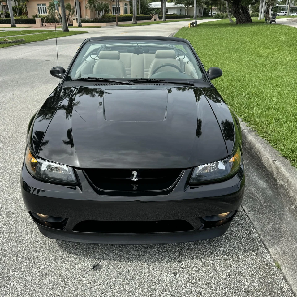1999 年福特野马 SVT COBRA 可转换清洁 CARFAX 85K 英里 — 第 3/4 张图片