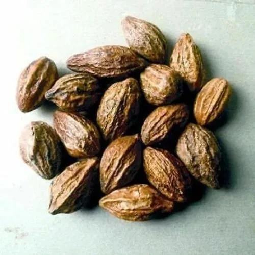 SPICE R US Whole Harde Terminalia Chebula | Haritaki | Black Myrobalan Free UK P&P 50g-950g