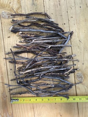 All-Natural Manzanita and Oak Wood Twigs Bundle for DIY Projects 