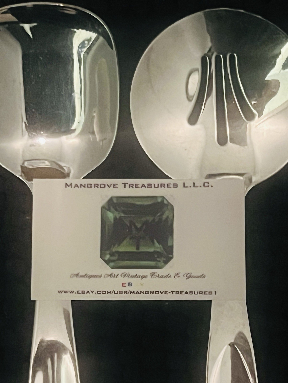 2 Oneida Large Stainless Serving Spoons Ceremonious, Wedding