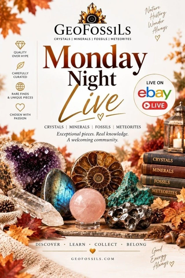 Monday Night Live | Crystals, Minerals, Fossils & Meteorites