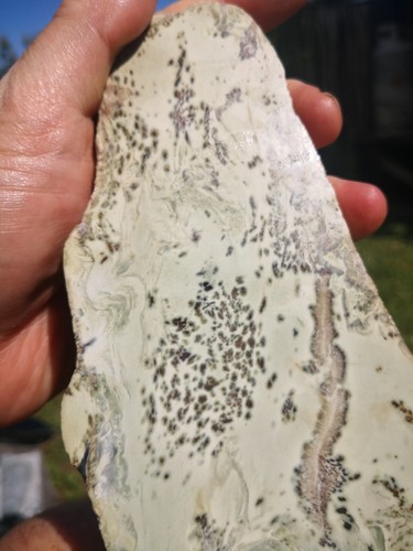 Pounamu Greenstone Nephrite Jade Dendritic Kokopu lapidary VERY RARE Natural - Picture 16 of 18