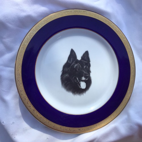 Belgian Sheepdog The Best of Show porcelain 8” Decor Plate  by Vladimir Tzenov