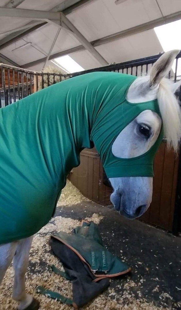 Capote de cheval avec fermeture éclair, élasthanne