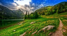 Landscape nature lake mountains forest wildflowers Custom Gaming Mat Desk
