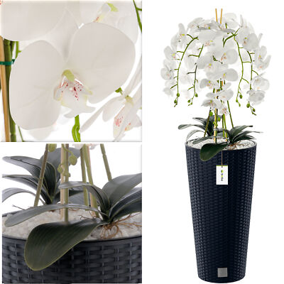 Knstliche Orchidee Kaskaden Blumenstrau Wei im Topf Anthrazit H110cm  Dekorati | eBay.de