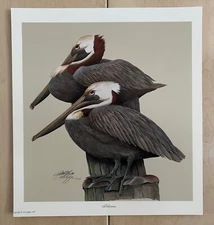 "Pelicans" Art Print by Art LaMay -Signed and Numbered