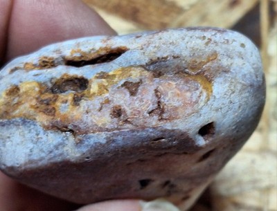 Rough Lake Superior Cold Water Agate Uncut Unpolished Seam Agate