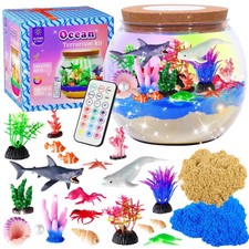 Ocean Terrarium Kit for Kids with LED Night Light  Remote Control, Ocean Toy...