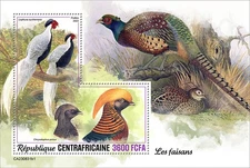 Pheasants
