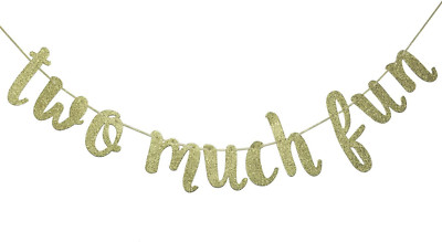 Two Much Fun Banner, 2Nd Birthday Garland Sign Party Decorations Anniversary Dec