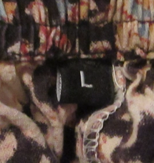 Picture 6 of 6