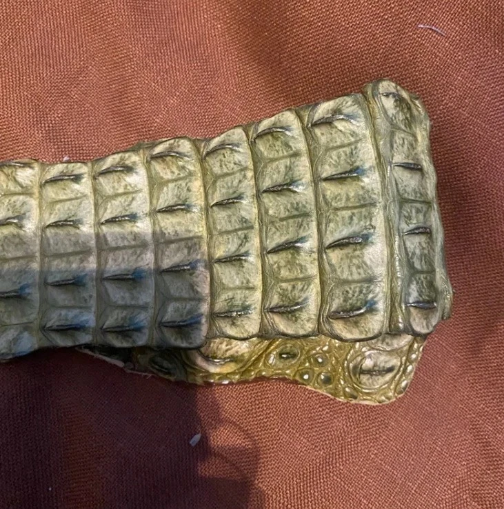 Cinturón de cocodrilo de diseñador verde salvia unisex raro vintage Foto 4 de 4